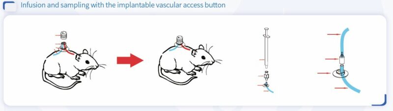 Infusion and sampling with the implantable vascular access button