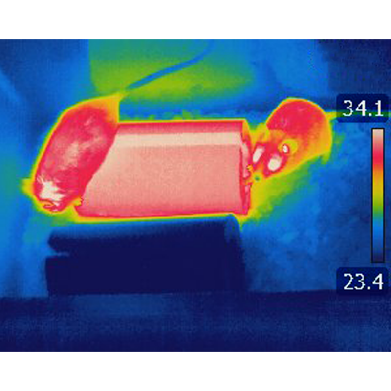 VI-35590_Romanovsky-IR_souris