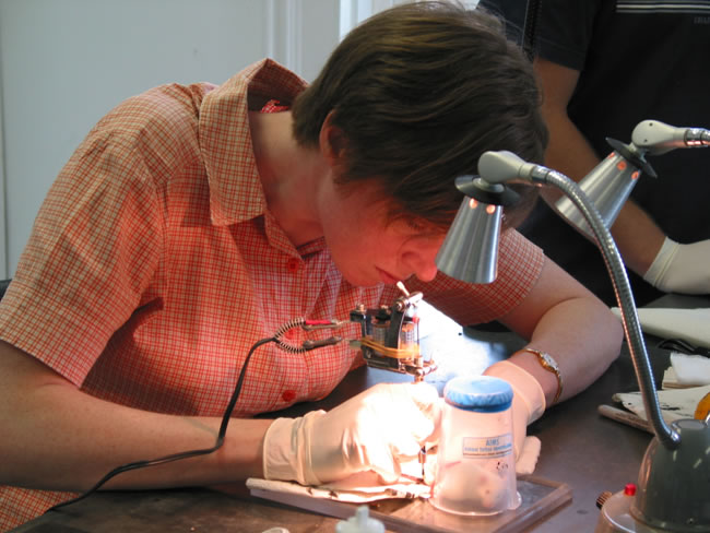 lab-tech-tattoing-mouse-lg