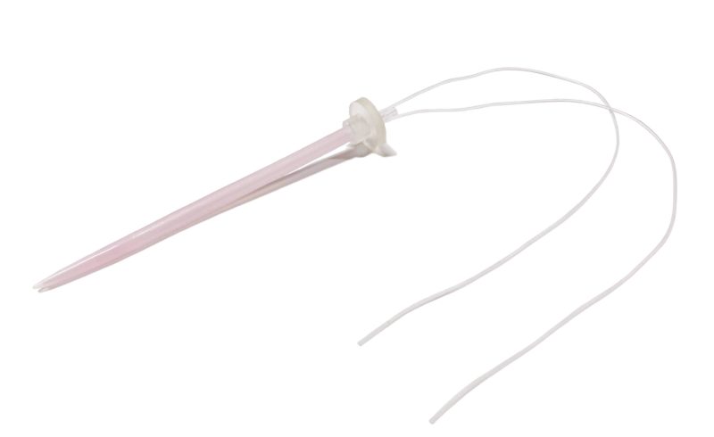 Mice tail model