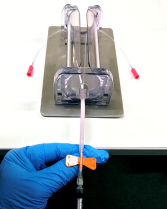 Aniphy tail vein and restrainer